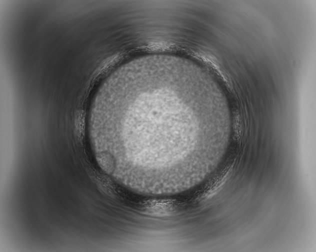 X0000095930495200802011024