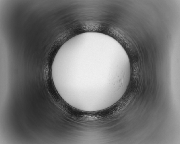 X0000095930498200802011024