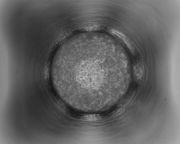 X0000095930499200802011024
