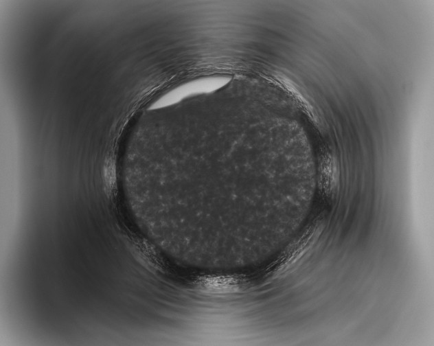X0000095930500200802011024