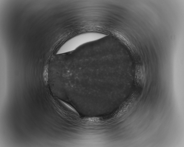 X0000095930501200802011024