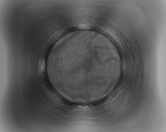 X0000095930502200802011024