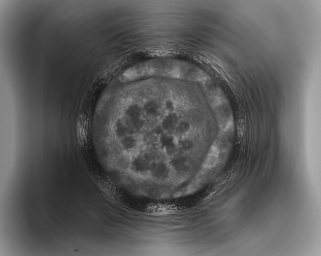 X0000095930503200802011024
