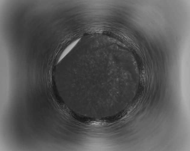 X0000095930504200802011024