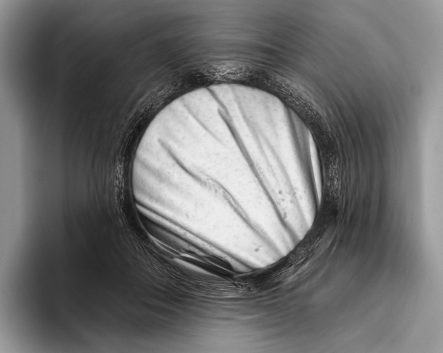 X0000095930506200802011024