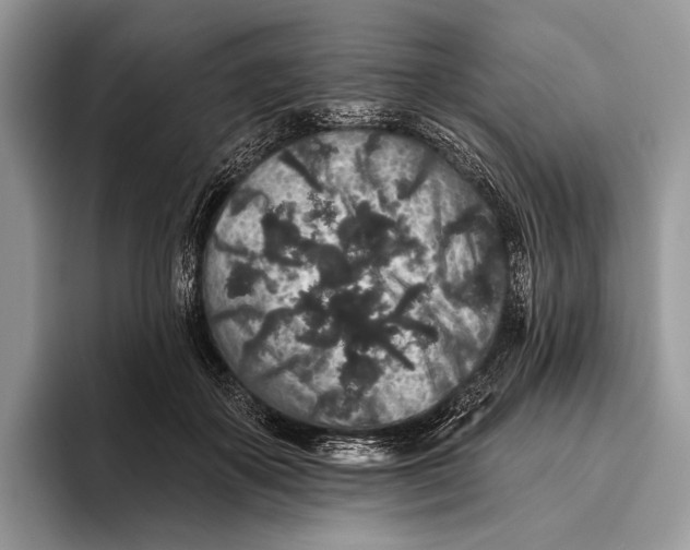 X0000095930507200802011024