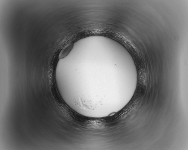 X0000095930509200802011024