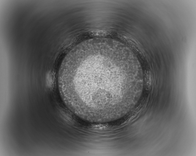 X0000095930511200802011024