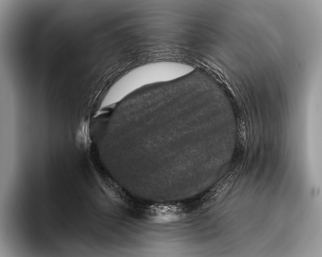 X0000095930512200802011024