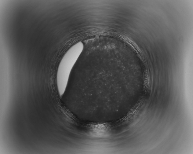 X0000095930513200802011024