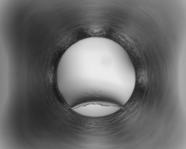 X0000095930515200802011024