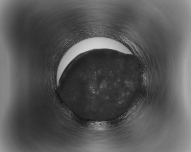X0000095930517200802011024
