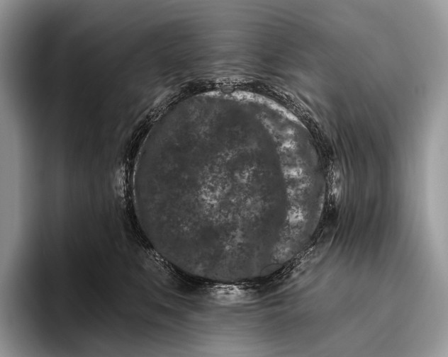 X0000095930519200802011024