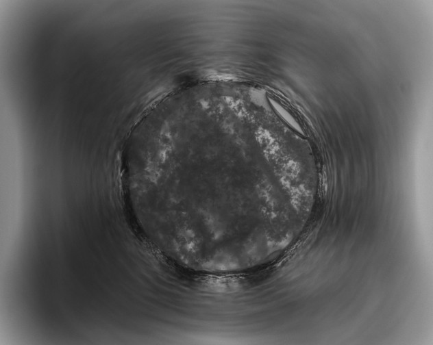 X0000095930520200802011024