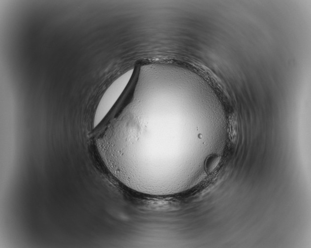 X0000095930523200802011023