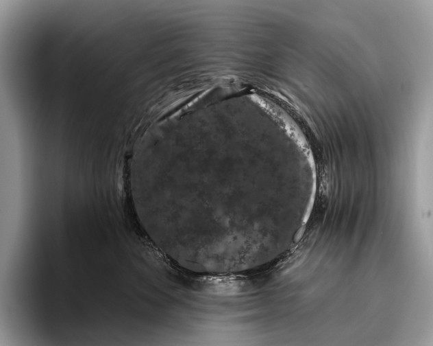 X0000095930524200802011023