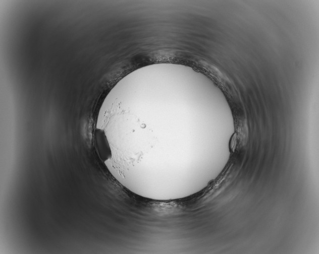X0000095930525200802011023