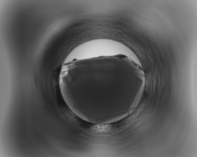 X0000095930526200802011023