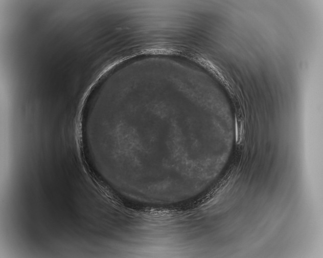 X0000095930531200802011023
