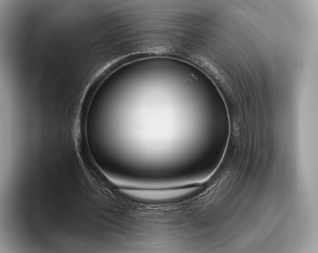X0000095930532200802011023