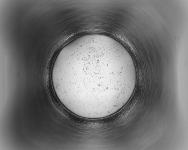 X0000095930533200802011023
