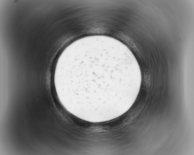 X0000095930534200802011023