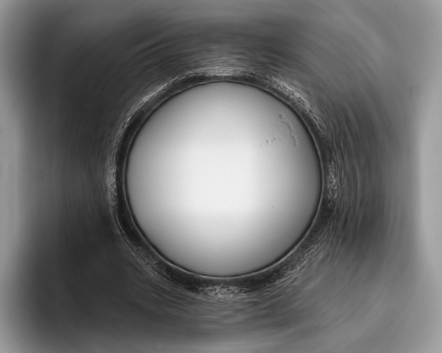 X0000095930535200802011023