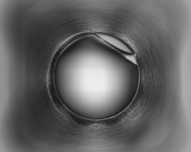 X0000095930536200802011023
