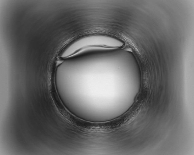 X0000095930538200802011023