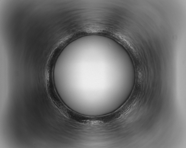 X0000095930539200802011023