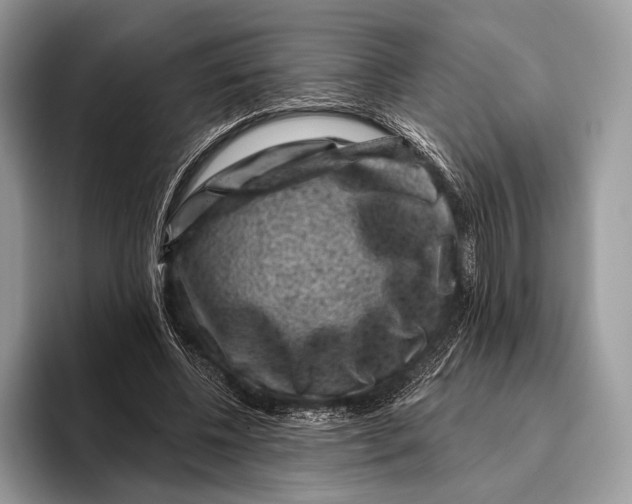 X0000095930540200802011023