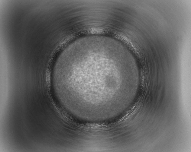 X0000095930542200802011023