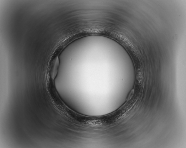 X0000095930544200802011023