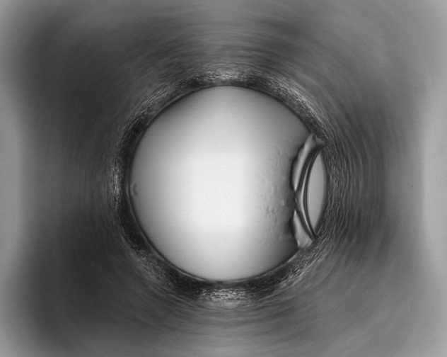 X0000095930546200802011023