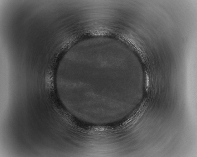X0000095930547200802011023