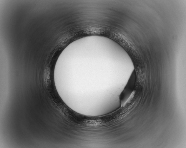 X0000095930548200802011023