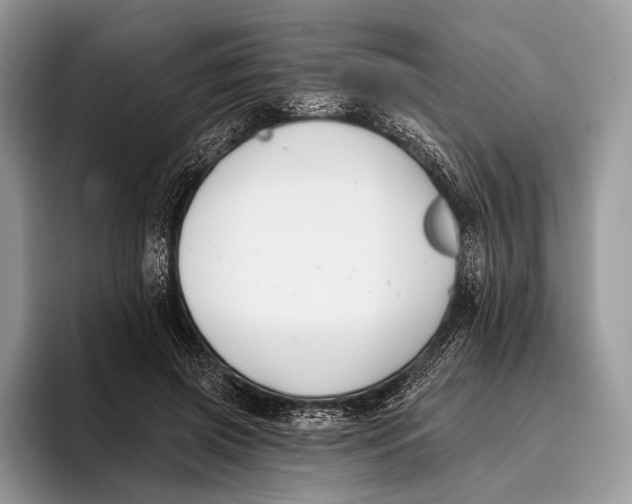 X0000095930549200802011023