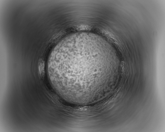 X0000095930550200802011023