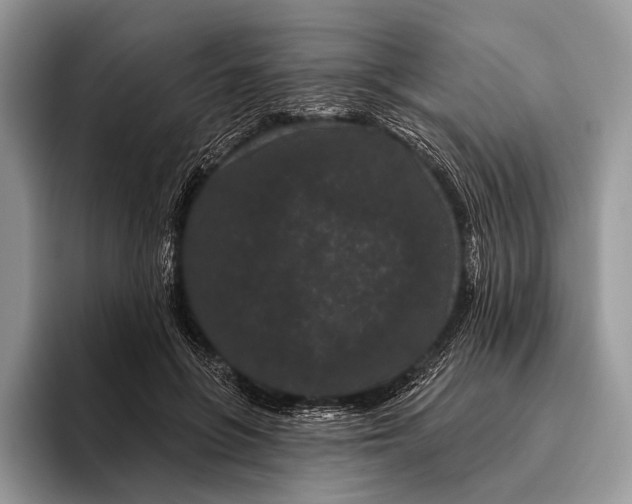 X0000095930551200802011023