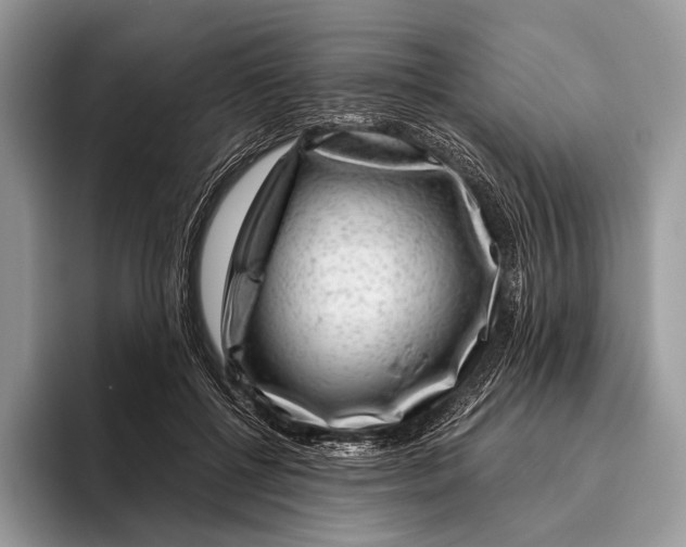 X0000095930552200802011023