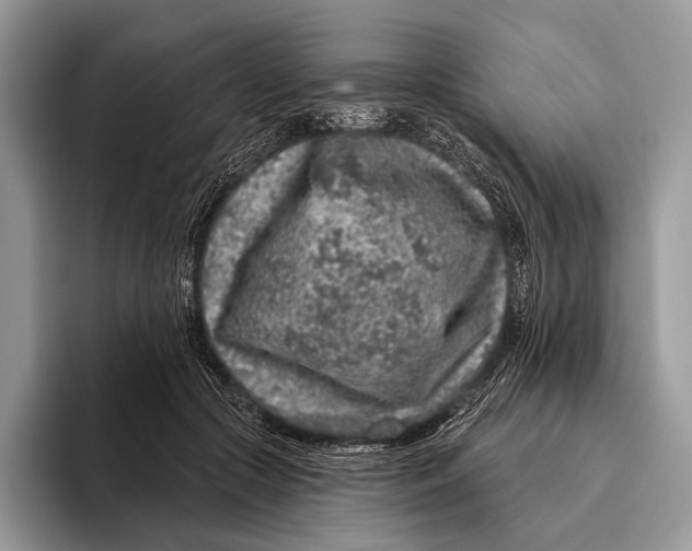 X0000095930553200802011023