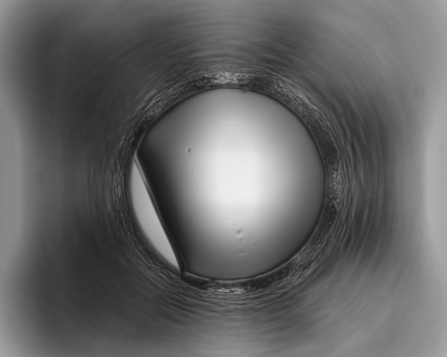 X0000095930554200802011023