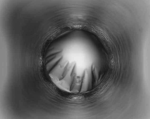 X0000095930555200802011023