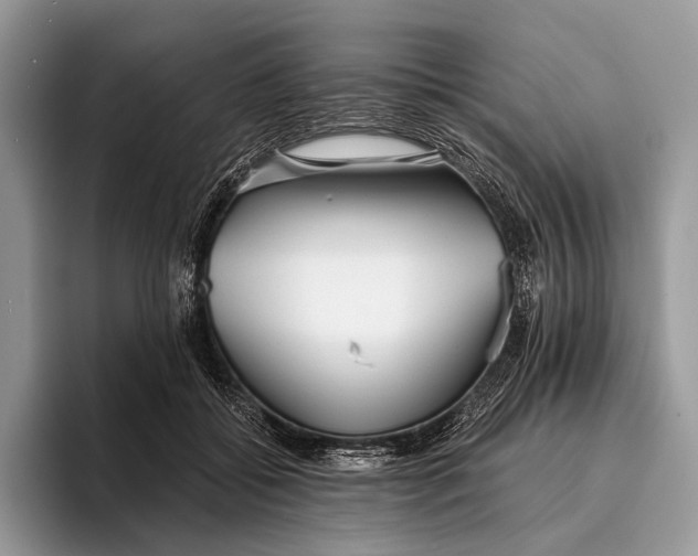 X0000095930556200802011023