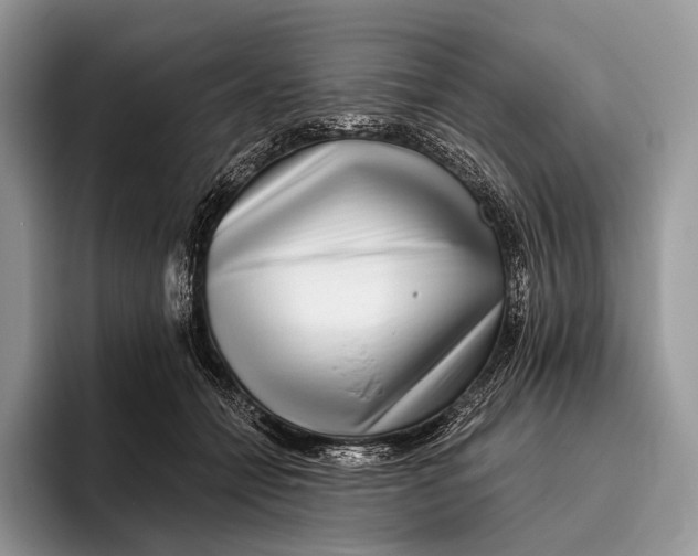 X0000095930558200802011023