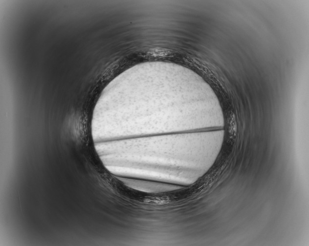 X0000095930559200802011023