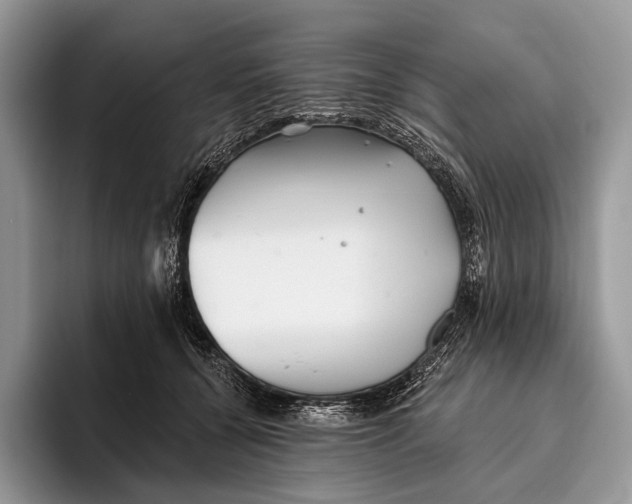 X0000095930560200802011023