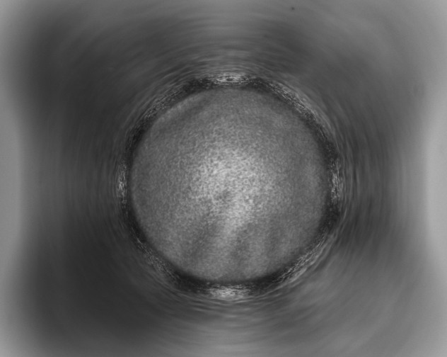 X0000095930561200802011023