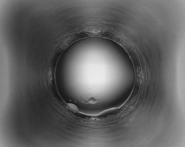 X0000095930562200802011023