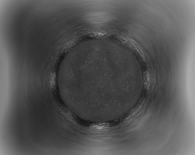 X0000095930563200802011023